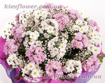 Glade of white and pink chamomiles